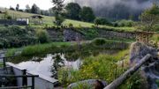 Flachdach