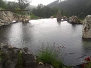 Flachdach
